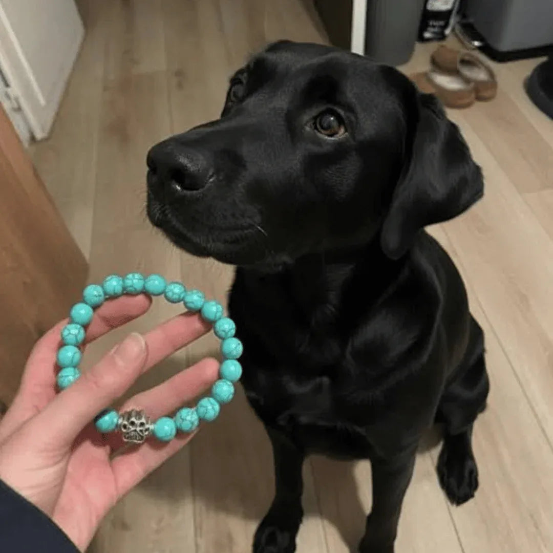 Paw bracelet held next to a black dog